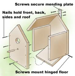 Wren Bird House Plans Free