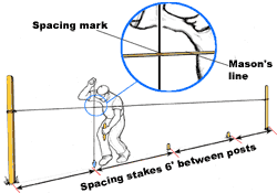 Spacing stakes