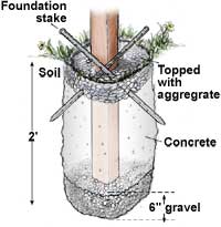 Setting posts