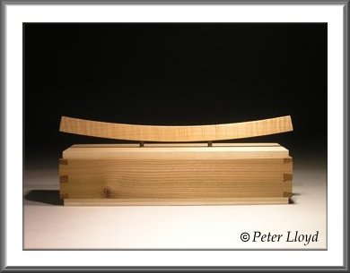 Peter Lloyd custom box