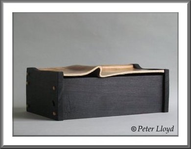 Custom Box by Peter Lloyd